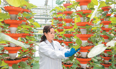 央视报道公司农业科技成果